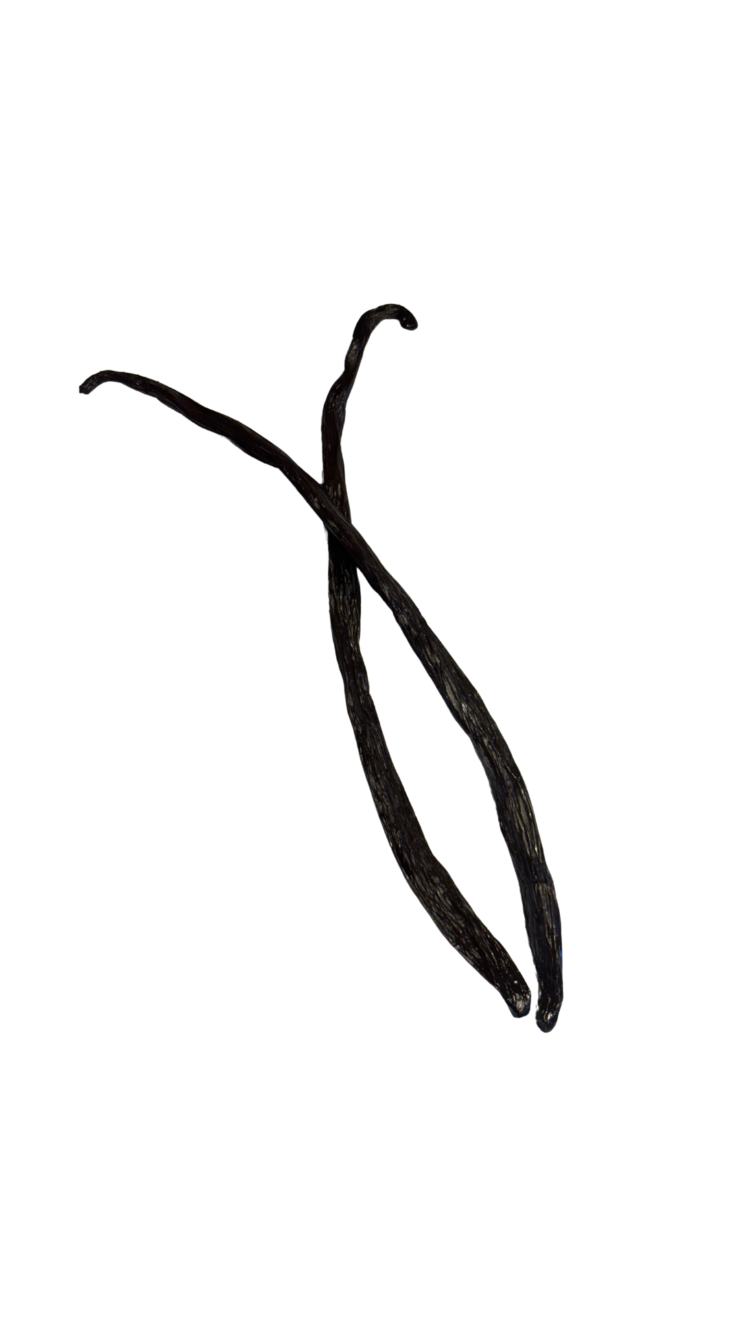2 Premium Organic Grade A Vanilla Beans - Fresh, Hand-Picked and Full of Flavor
