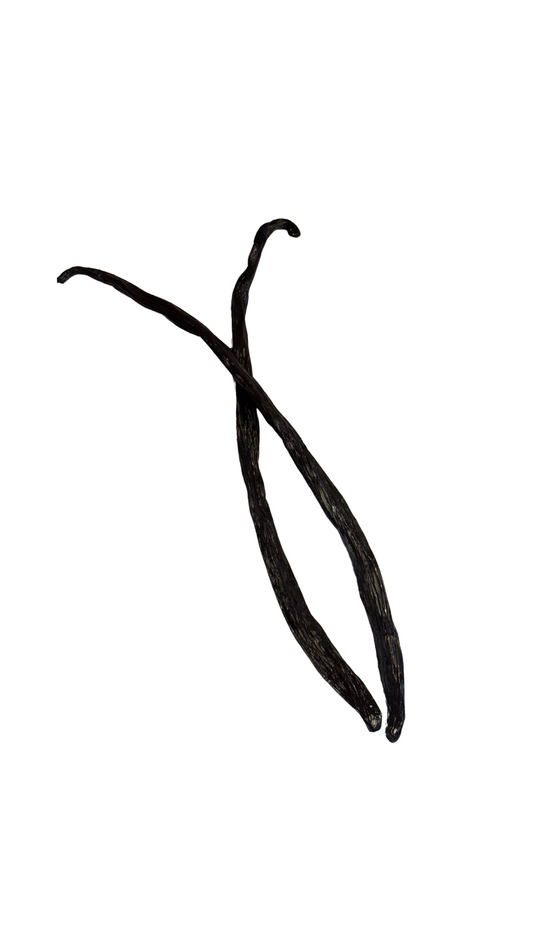 2 Premium Organic Grade A Vanilla Beans - Fresh, Hand-Picked and Full of Flavor
