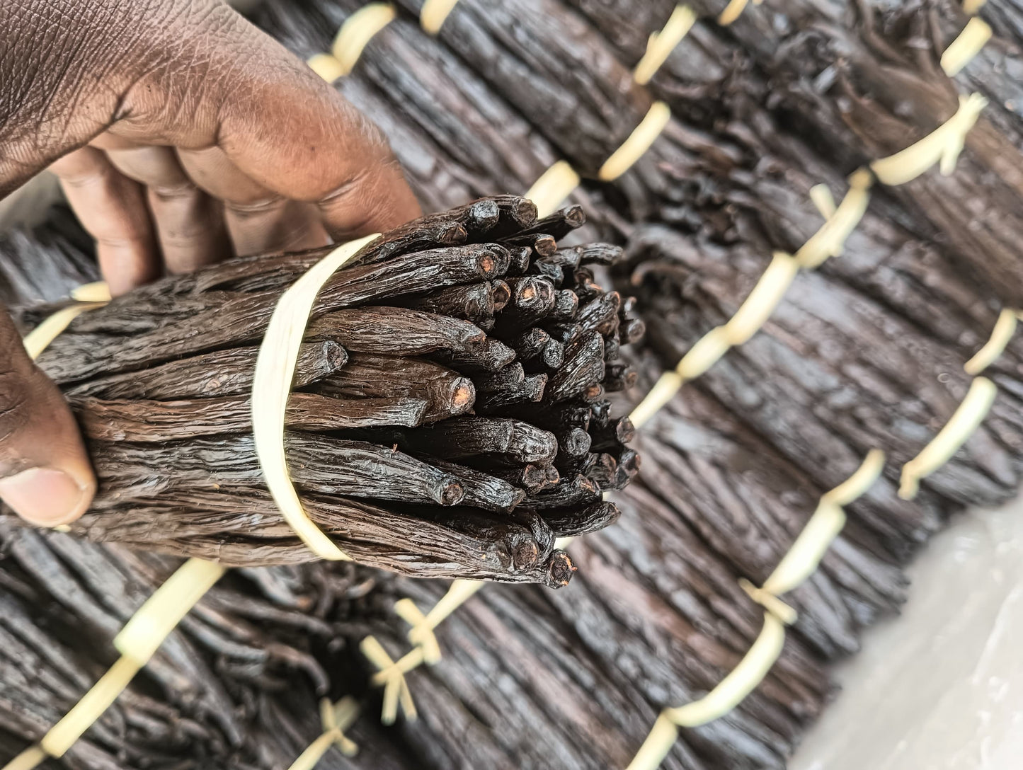 Golden Harvest Gourmet Vanilla Beans- Finest Grade A selection